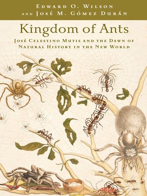 Kingdom of Ants - ebook